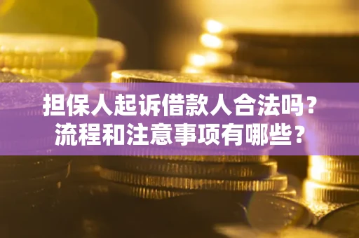 北京担保人起诉借款人合法吗？流程和注意事项有哪些？